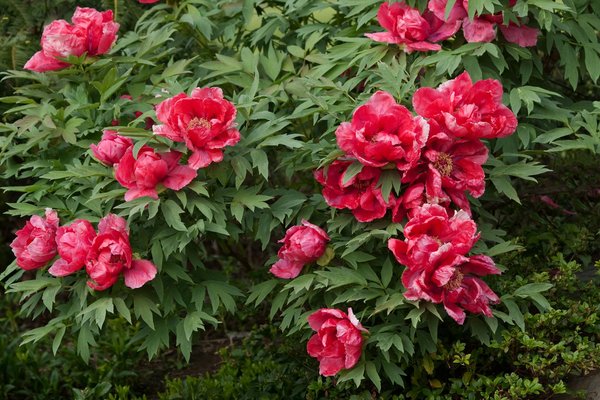 Top 6 analyseurs d'eau pour piscine : guide d'achat complet